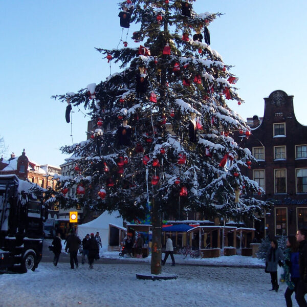 Grote Kerstboom 8 9 10 11 12 13 14 15 16 17 18 meter plaatsen stad of dorp door Stedelijk Groen bv