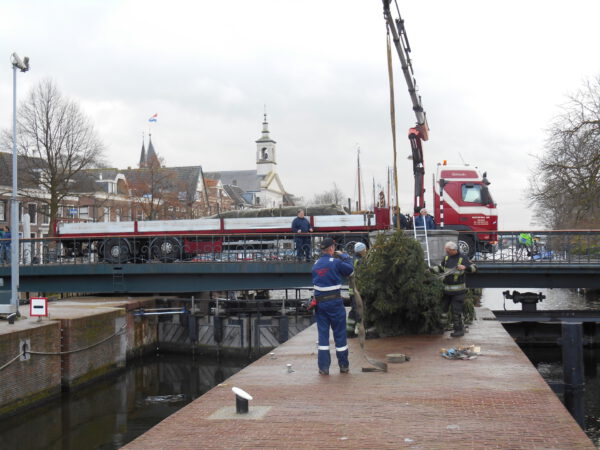 Grote Kerstboom 8 9 10 11 12 13 14 15 16 17 18 meter plaatsen stad of dorp door Stedelijk Groen bv