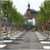 Groeiplaatsconstructies en stadsinrichting bomen - Afbeelding 6