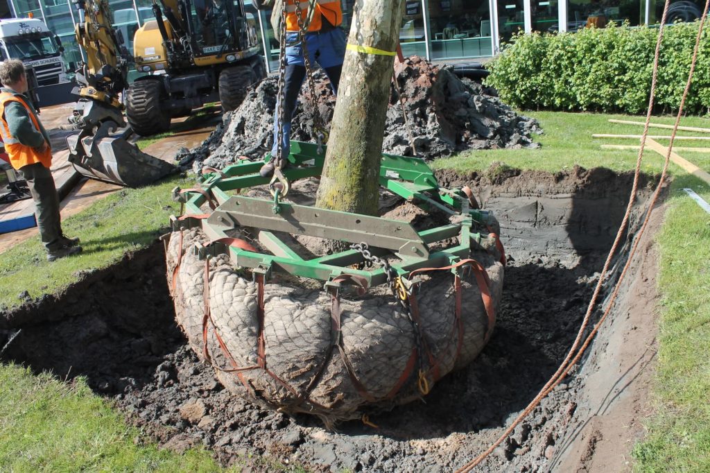 Stedelijk Groen bv - boomadies - boomspecialisten - European Tree Technician (ETT) en European Tree Worker (ETW)