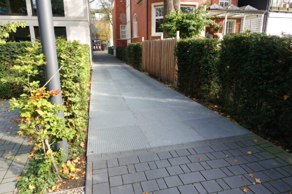 Humberg wortelbruggen en boombescherming - Afbeelding 6