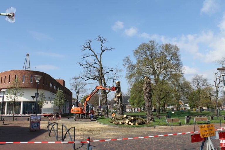 Bomen vellen en planten Hertenkamp Veendam