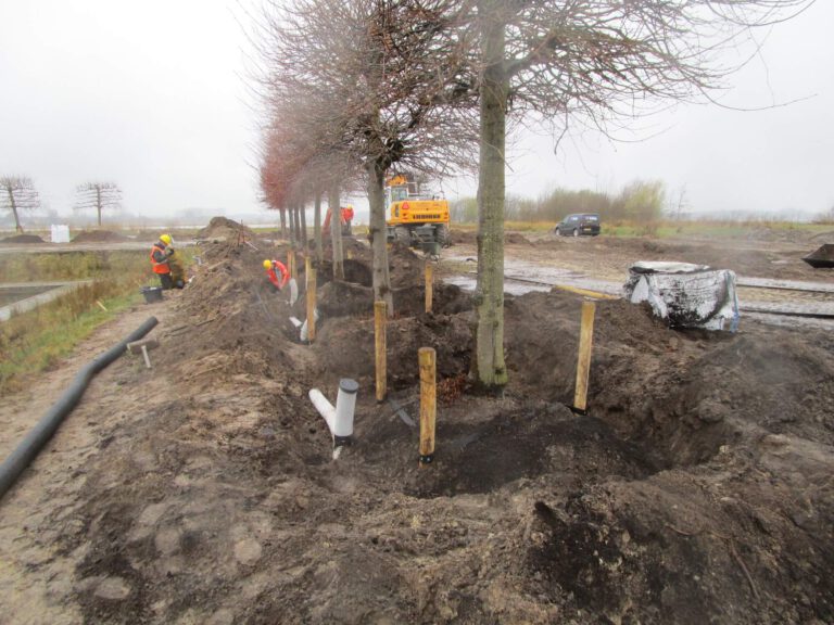 20 Leibomen verplanten van Blijham naar Blauwestad