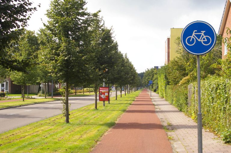 Zomeraanplant bomen: 105 winterlindes Stadskanaal